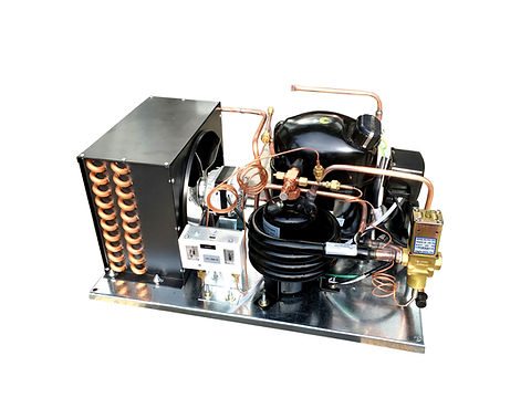 6f1b5b_b1be55fc5f774dbc92374b073d326f4e-4.jpg Combo NJ6220Z1 Air & Water Unit HBP 3/4 HP R134a - Image 1